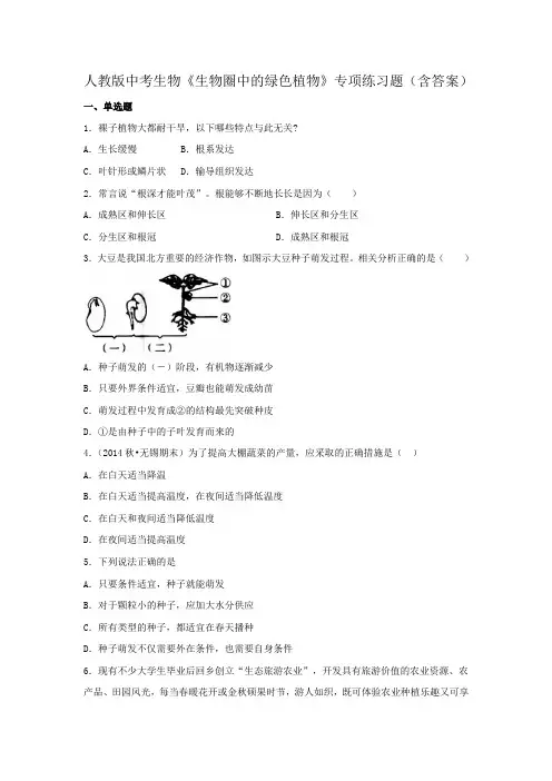 人教版中考生物《生物圈中的绿色植物》专项练习题(含答案)