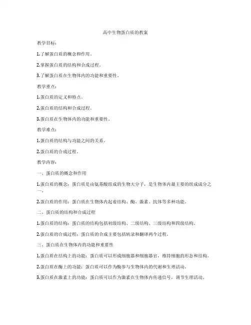 高中生物蛋白质的教案