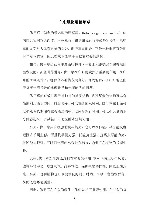 广东绿化用佛甲草