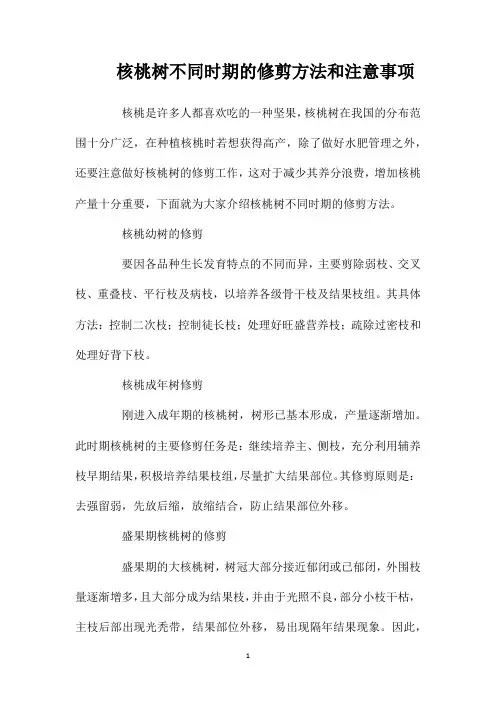 核桃树不同时期的修剪方法和注意事项