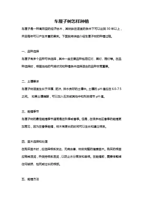 车厘子树怎样种植