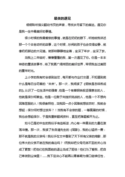 初二作文：最美的遇见作文600字_1