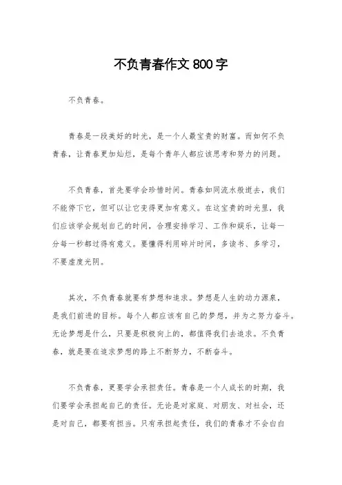 不负青春作文800字