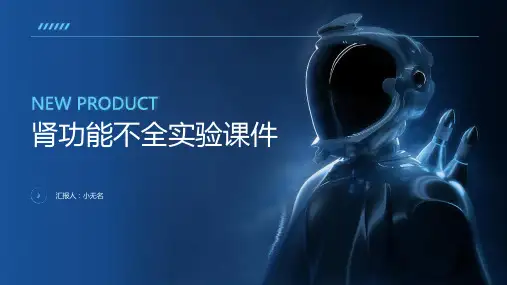 肾功能不全实验课件