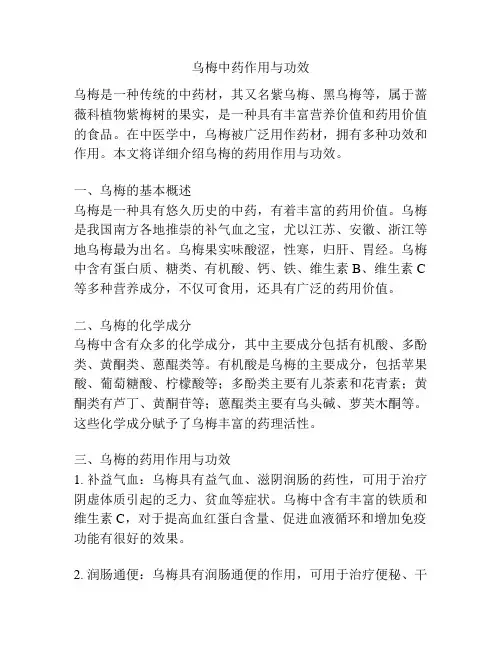 乌梅中药作用与功效