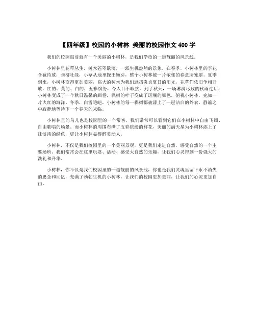 【四年级】校园的小树林 美丽的校园作文400字