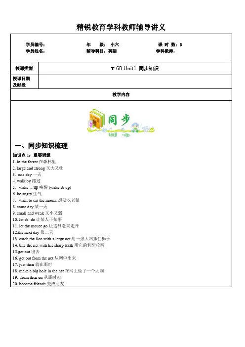 新译林6B-unit1-知识点和习题