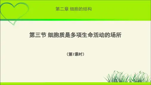 《细胞质是多项生命活动的场所 第1课时》示范公开课教学课件【高中生物浙科版(新课标)】