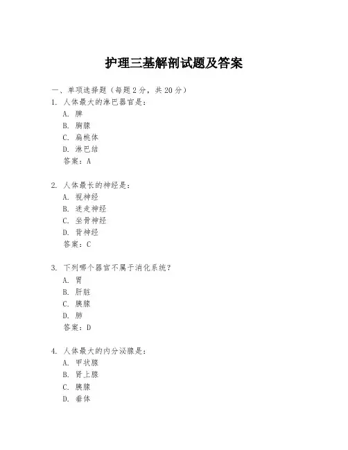 护理三基解剖试题及答案