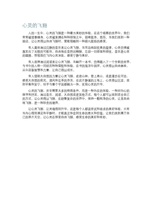 心灵的飞翔