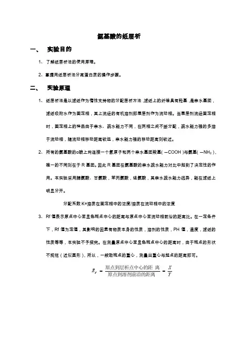 氨基酸的纸层析