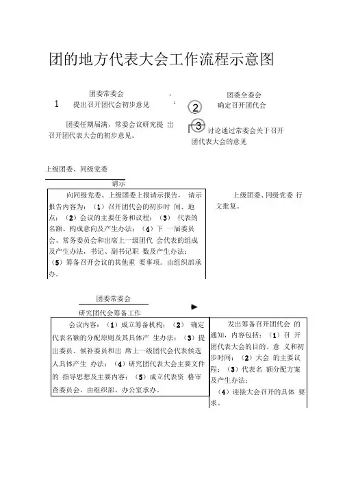 团代会工作流程(印17份)
