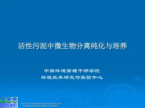 活性污泥中微生物分离纯化与培养