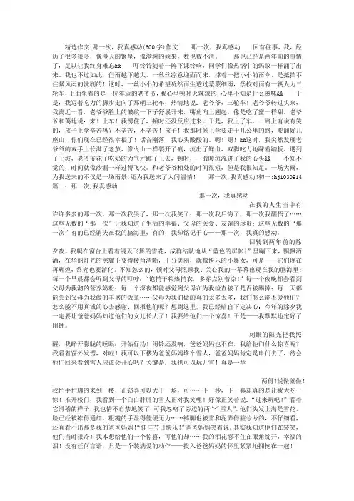 那一次,我真感动(600字)作文