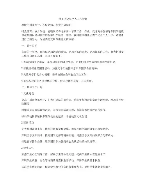 团委书记处个人工作计划