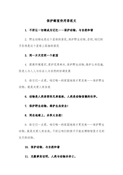 保护鲸宣传用语范文（2篇）