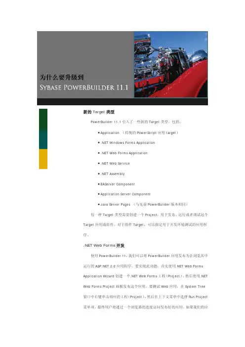为什么升级到PowerBuilder 11