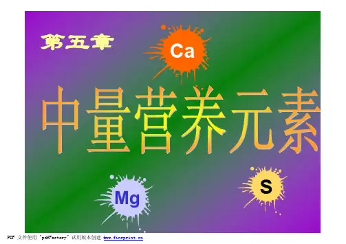 第五章中量营养元素-chapter5CaMgS