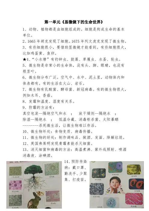 苏教版小学科学五年级下册知识点全册