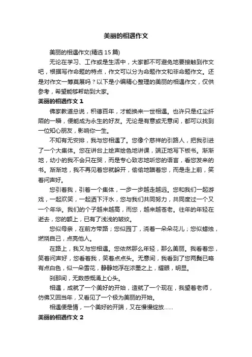 美丽的相遇作文