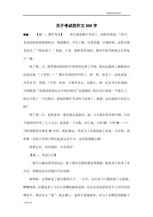 关于考试的作文500字