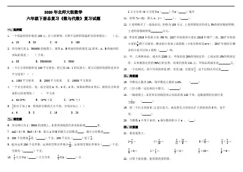 北师大版六年级数学下学期总复习《数与代数》复习试卷(含答案)