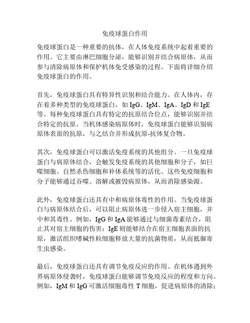 免疫球蛋白作用
