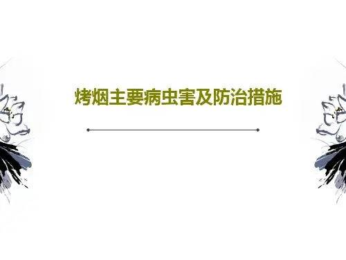 烤烟主要病虫害及防治措施40页PPT