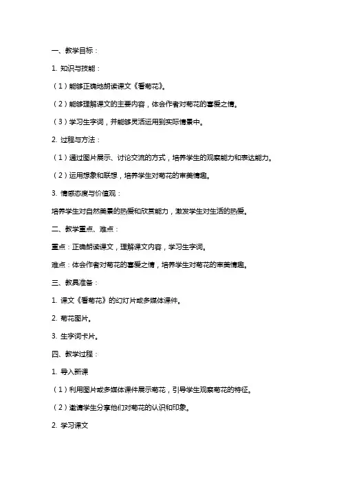 课文《看菊花》教学教案