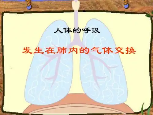 7.2.2人体的呼吸(2)课件