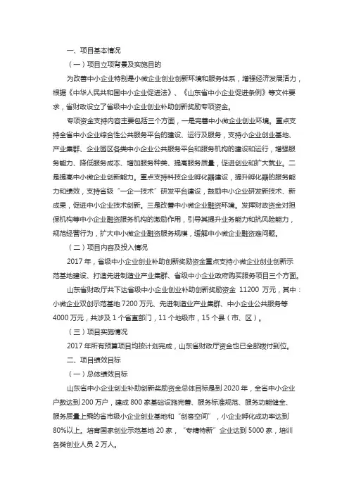 2017年中小企业创业补助创新奖励资金绩效评价报告