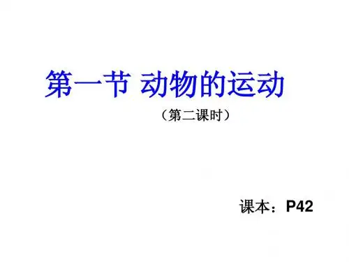 八年级生物上册2014人教版第五单元第二章第一节动物的运动(第二课时)