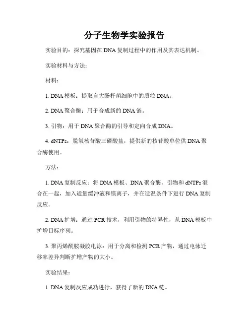 分子生物学实验报告