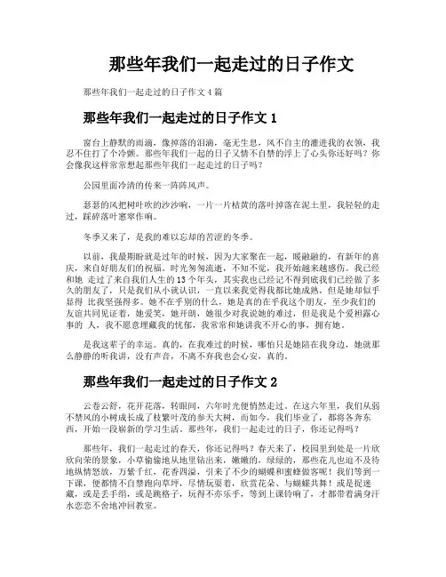 那些年我们一起走过的日子作文
