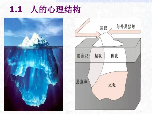 费洛伊德理论ppt课件