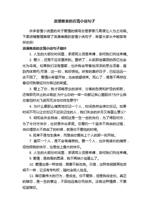 浪漫唯美的言情小说句子