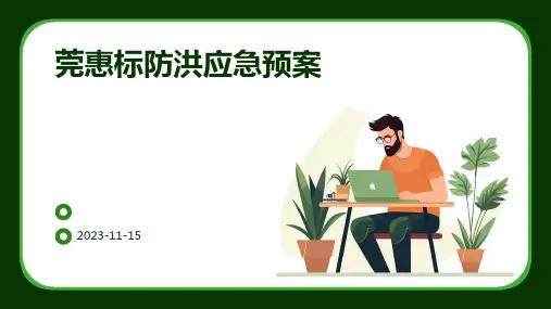 莞惠标防洪应急预案