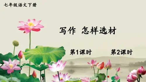 七年级语文部编版下册第四单元写作《怎样选材》课件(共47张PPT)