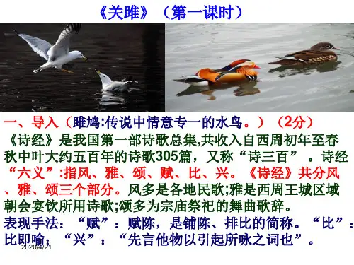 《关雎》公开课获一等奖优秀课件