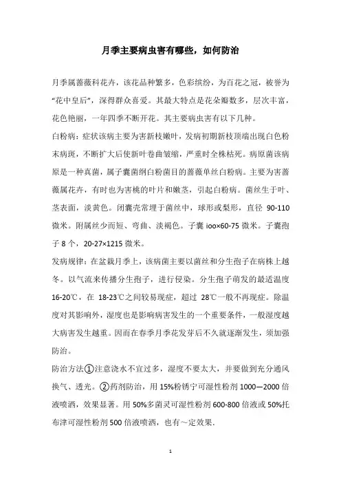 月季主要病虫害有哪些,如何防治