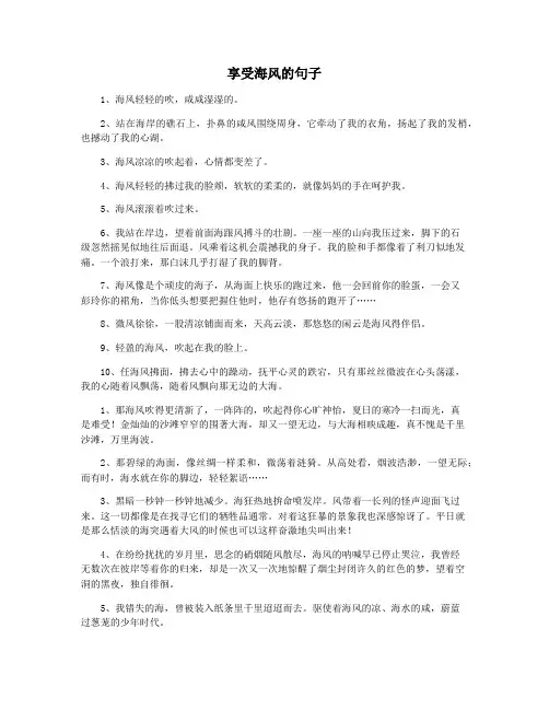 享受海风的句子
