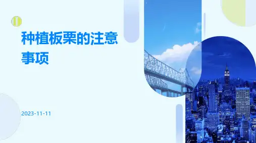 种植板栗的注意事项