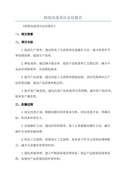 持续改进项目总结报告