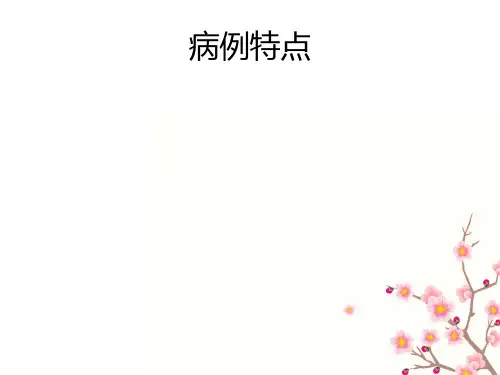 肋骨骨折教学查房ppt课件