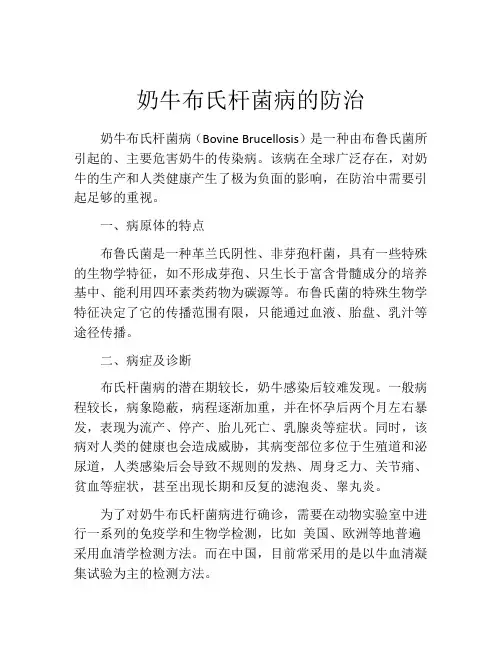 奶牛布氏杆菌病的防治