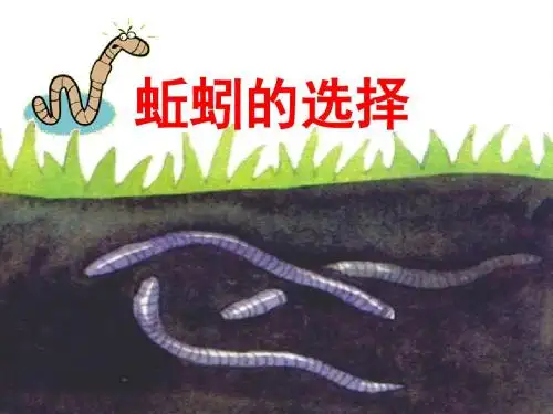 教科版五年级科学上册《蚯蚓的选择》
