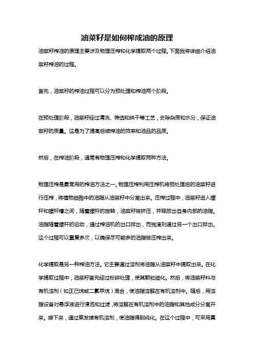 油菜籽是如何榨成油的原理