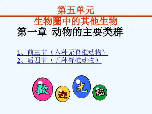 生物人教版八年级上册动物的主要类群前三节(六种无脊椎动物)复习课