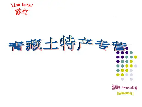 青海 土特产大全