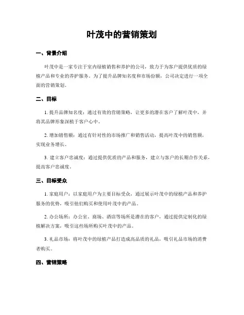 叶茂中的营销策划